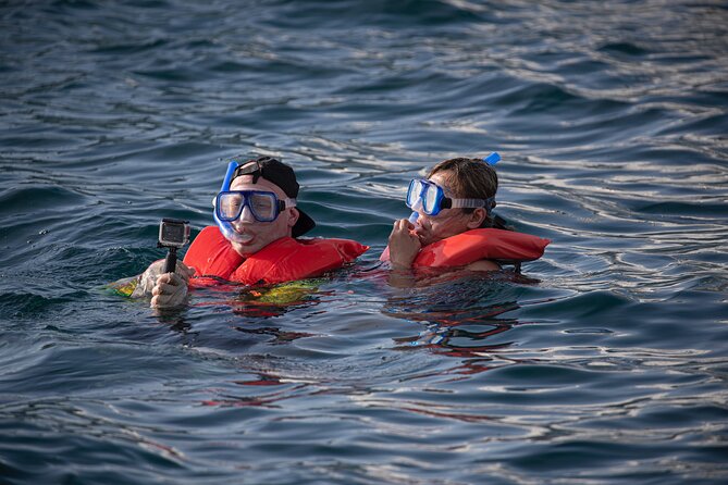 Snorkel, Lunch & Sail in Cabo San Lucas - Who will enjoy this Cabo cruise most