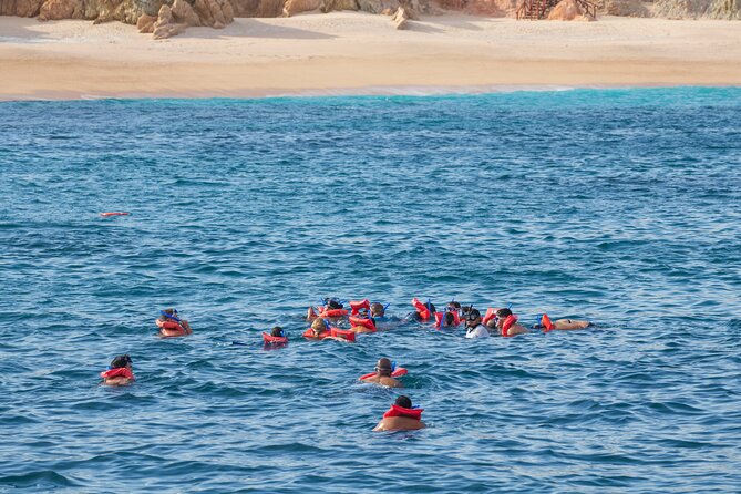 Snorkel & Sunset Sail in Cabo San Lucas - How the snorkeling equipment affects the value