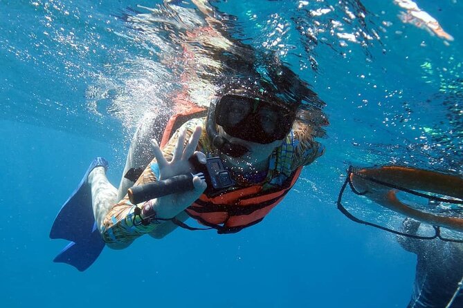 Snorkel Tour at Musa and Manchones Reef - Meeting at Pocna in central Isla Mujeres