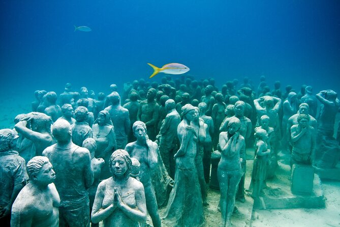 Snorkeling in Isla Mujeres and Underwater Museum - What the $59.74 tour actually includes