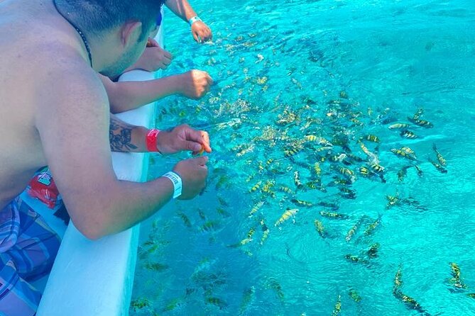 Snorkeling in Isla Mujeres and Underwater Museum - What the strongest parts of the experience are
