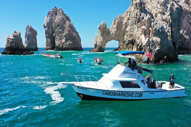 Snorkeling or Swimming with Sharks in Cabo San Lucas - Seasickness, weather, and what to wear