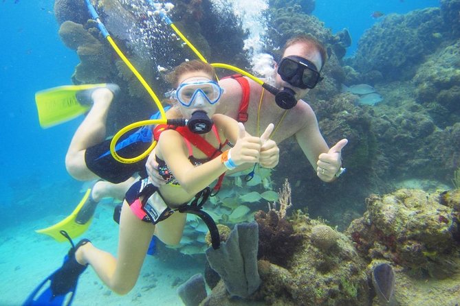 SNUBA Cozumel Underwater Adventure inside Chankanaab National Park - Chankanaab Reef begins from the shore