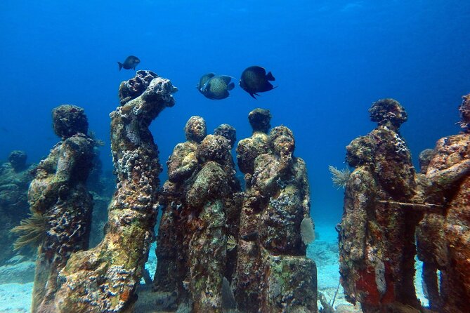 SPECIAL! Snorkel at MUSA - The Underwater Museum Reservation - Booking, weather, and cancellation details