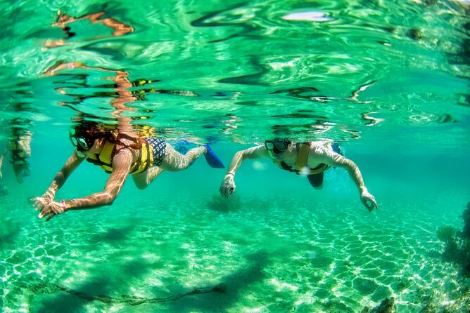 Speedboat across the Mangroves & Snorkel with Jet Ski Rental - Who will enjoy this Cancun outing