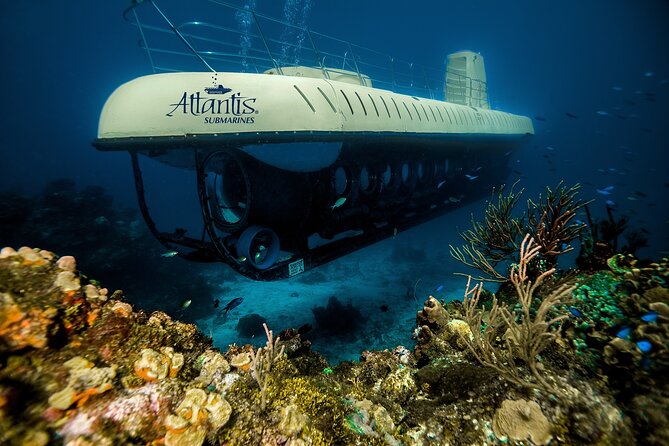 Submarine Atlantis Cozumel Adventure by Day & Sunset - Price, extra fees, and what you receive