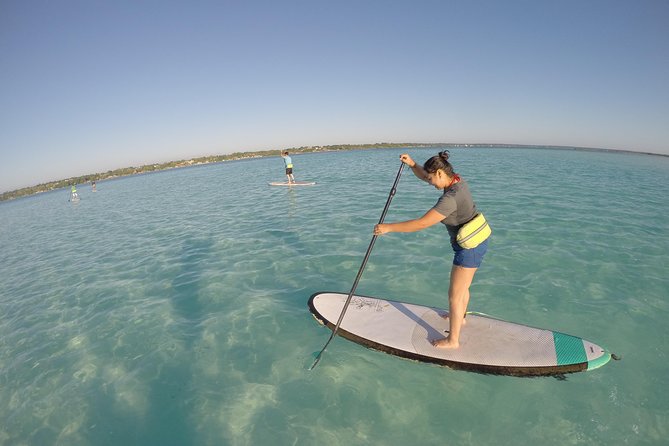 Sunrise Tour (Stand Up Paddle or Kayak) - Choosing between a stand up paddleboard and kayak