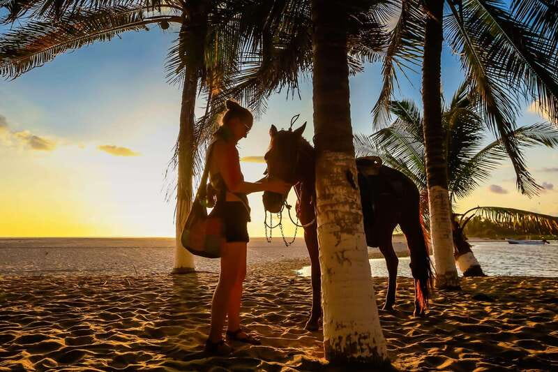 Sunset by Horse on the Beach - Through fields, cattle land, and the river