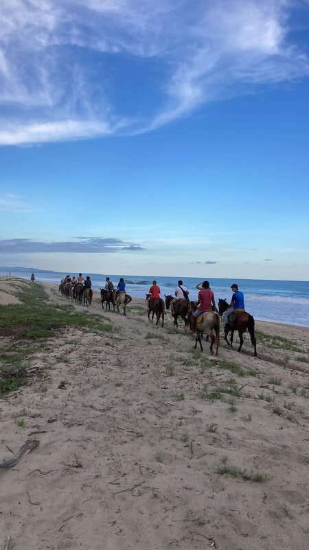 Sunset by Horse on the Beach - Who will enjoy this ride most