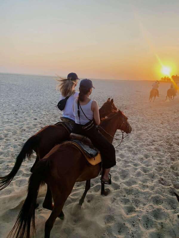 Sunset by Horse on the Beach - Meeting the horses and learning the basics