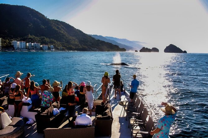 Sunsets and Whales Mega Yachts ALL INCLUSIVE: Puerto Vallarta - Whales and sunset in one Banderas Bay cruise