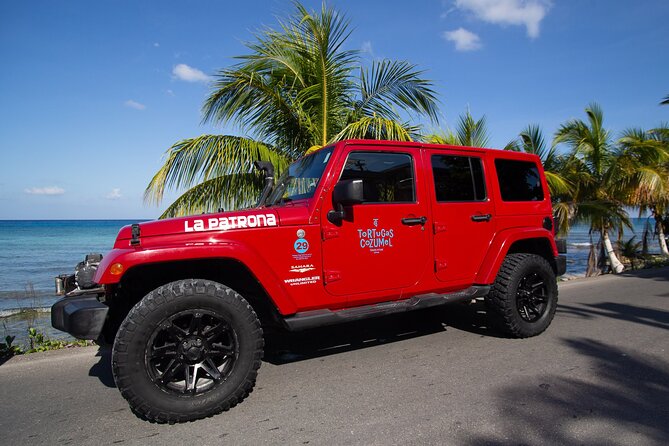 Super Cozumel Combo Snorkel by Boat and Jeep Exploration (Private) - Mexican lunch with a limited but useful choice