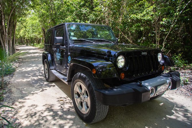 Super Cozumel Combo Snorkel by Boat and Jeep Exploration (Private) - San Martin Beach and El Mirador on the eastern coast