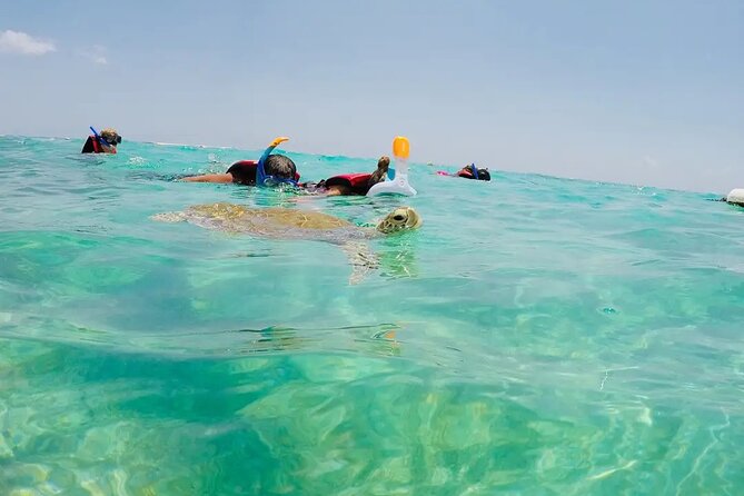 Swim with akumal turtles - Facilities that make the hour easier