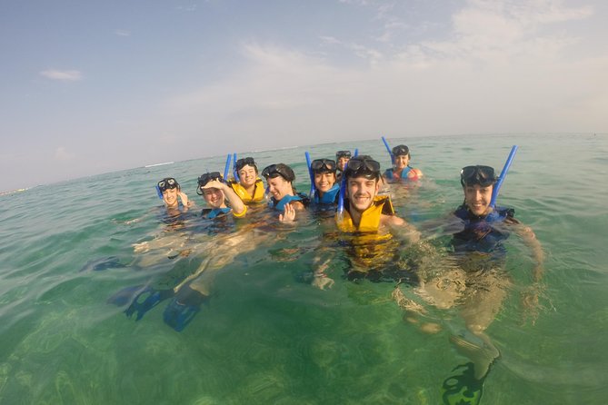 Swim with sea turtles - Why Akumal is worth the short trip from Playa del Carmen