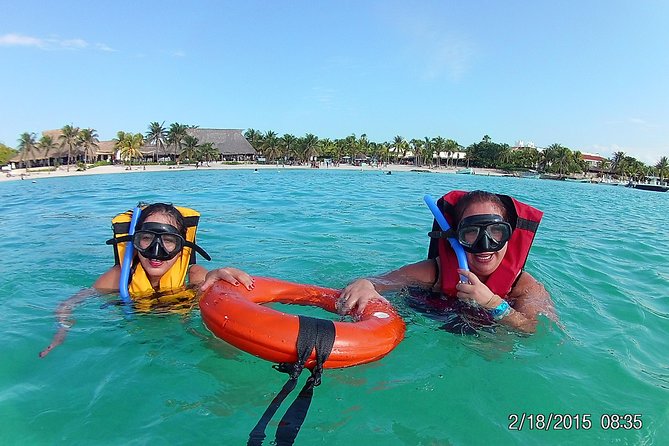 Swim with sea turtles - What the $45 price really includes