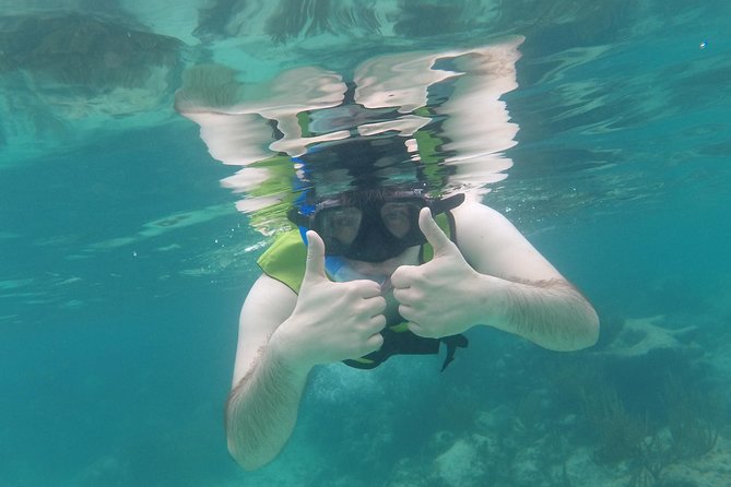 Swim with sea turtles - Important practical tips for a smoother swim