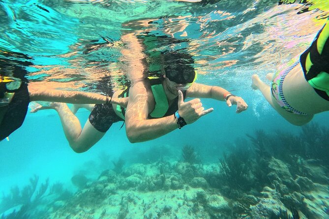 Swim with Turtles in Akumal + GoPro Photo Session - What the Akumal turtle swim is really like