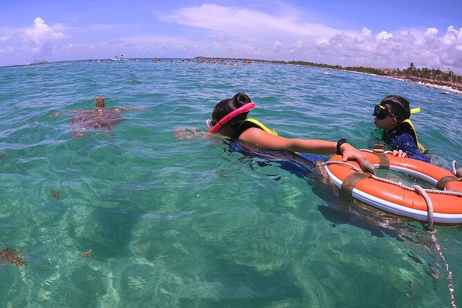 Swim with Turtles in Akumal + GoPro Photo Session - Why the private format matters in Akumal