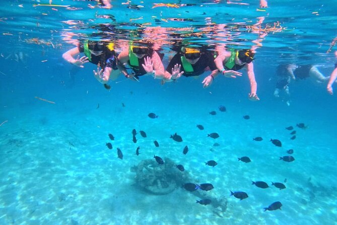 Swim with Turtles in Akumal + GoPro Photo Session - Facilities and staying at Akumal afterward