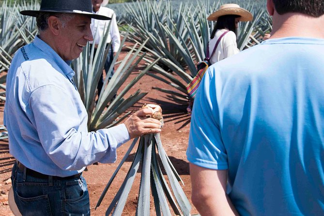 Tequila distillery experience, Jose Cuervo & Tequila Magic Town - José Cuervo: worth the extra option?