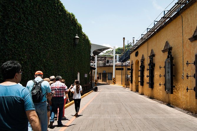 Tequila distillery experience, Jose Cuervo & Tequila Magic Town - Two hours in Tequila town