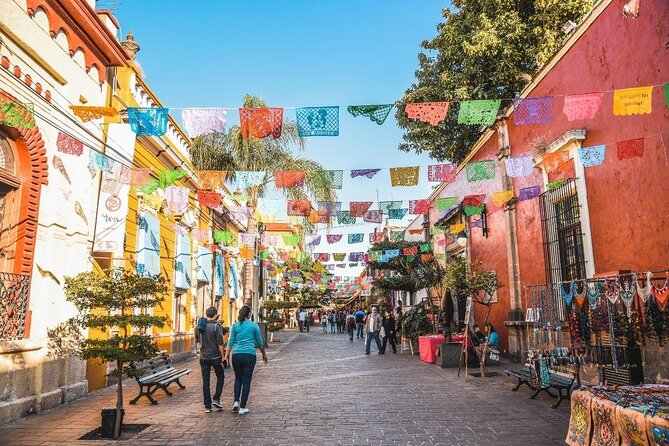 Tequila Premium Tour Destination Agave - Key points to know before booking