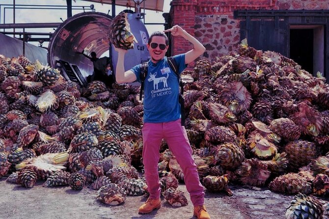 Tequila Tour - Who should book this day trip?