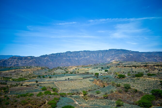Tequila tour with tasting. - The guide style and language question