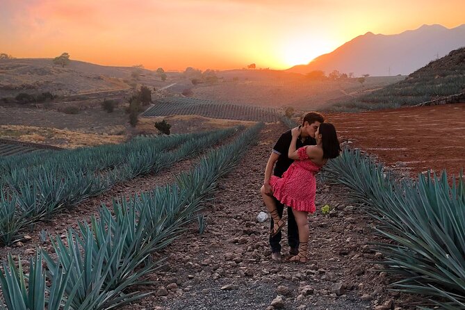 Tequila tour with tasting. - Hacienda Casa Gonzalez and the tequila lesson