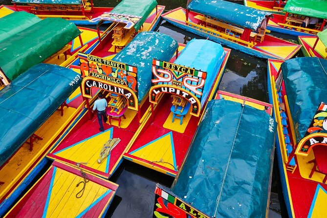 The City Green Exploring the Urban Eco Reserve of Xochimilco - Why Xochimilco feels different from a standard canal cruise