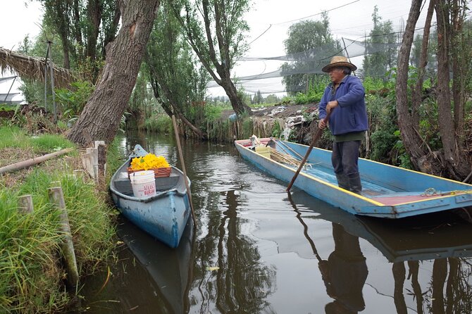 The City Green Exploring the Urban Eco Reserve of Xochimilco - Following the food to the chinampas