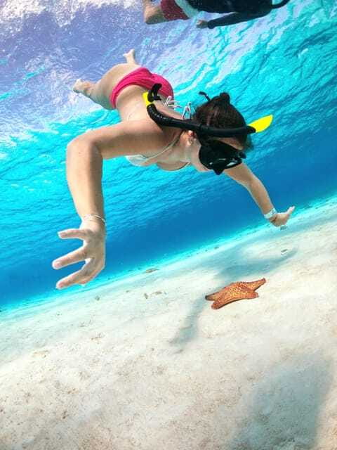 The Cozumel Turtle Sanctuary Snorkel Tour - Who should book this Cozumel snorkel tour?