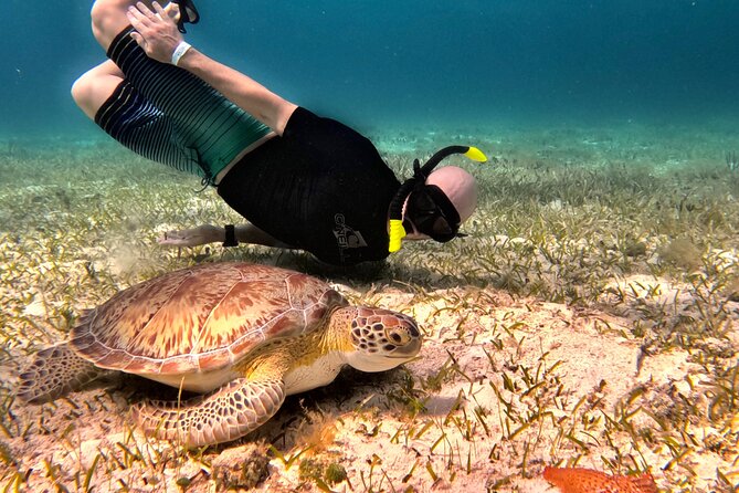 The Cozumel Turtle Sanctuary Snorkel Tour - Finding the boat near Cozumel’s ferry terminal