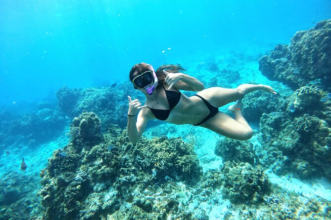 The Cozumel Turtle Sanctuary Snorkel Tour - The turtle area: a habitat, not a guaranteed encounter