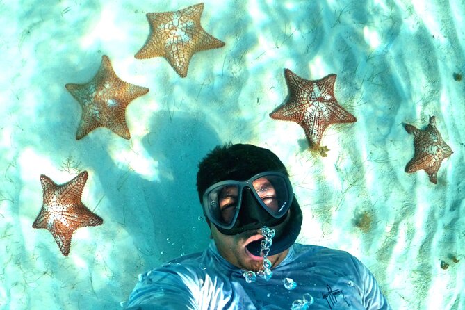 The Cozumel Turtle Sanctuary Snorkel Tour - How reliable is the timing for a cruise day?