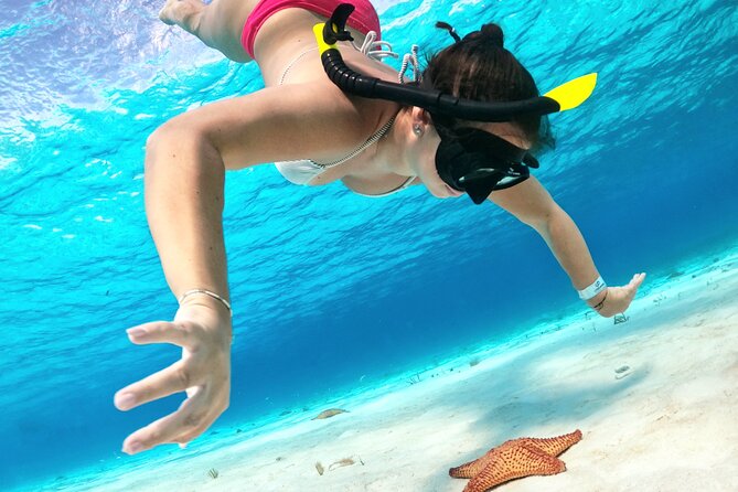 The Cozumel Turtle Sanctuary Snorkel Tour - Finding the dock without a stressful start