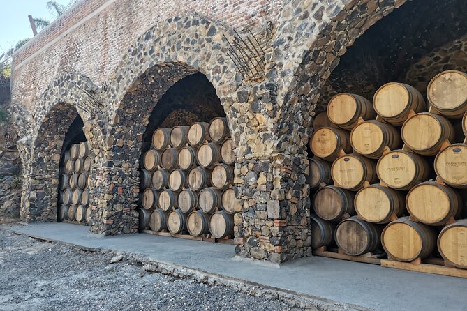 The Fire TOUR - Pyramids, Volcanoes, Agaves & Tequila - Tequila town, with time for tacos and wandering