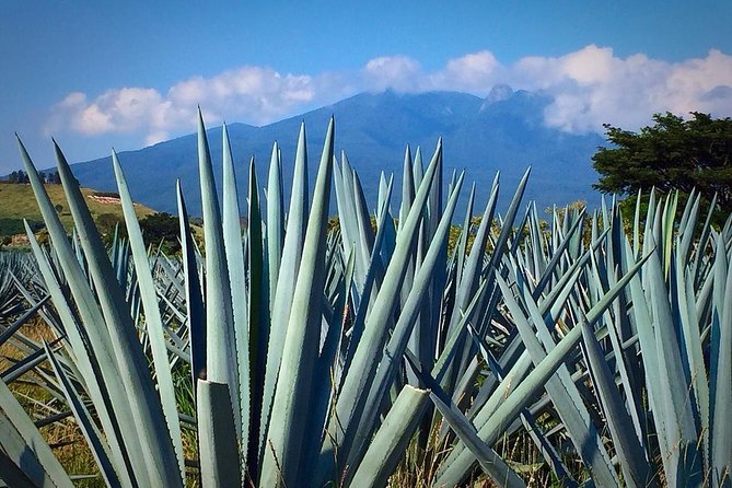 The Fire TOUR - Pyramids, Volcanoes, Agaves & Tequila - Comfort, walking, and practical planning