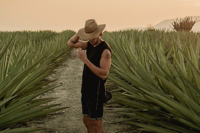The Mezcal Journey - Key points at a glance