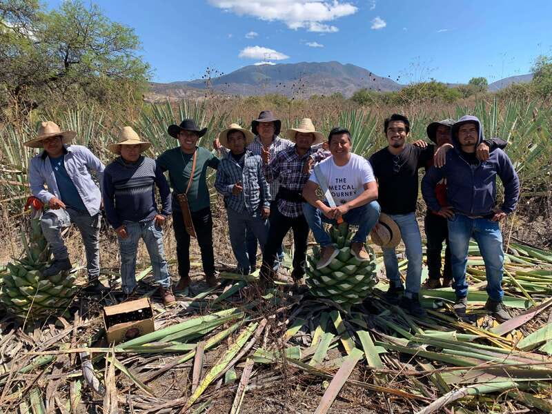 The Mezcal Journey - Is $105 good value?