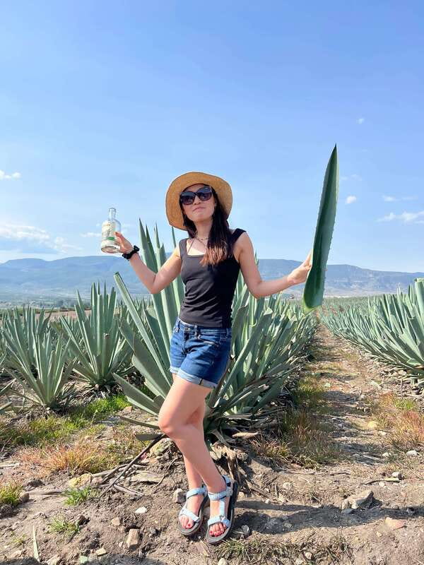 The Mezcal Journey - Practical details that shape the day