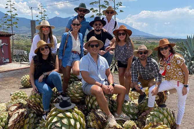 The Mezcal Journey - Walking through Campo Enigma