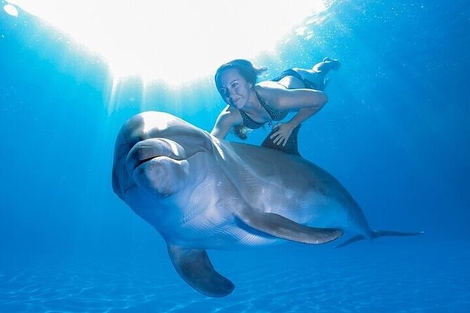 The only Natural Space Dolphin Encounter in Cabo Optional Pickup! - Understanding the Cabo landmarks in the itinerary