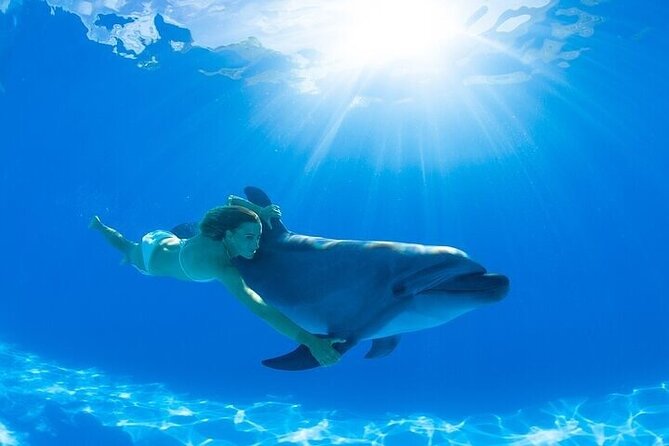 The only Natural Space Dolphin Encounter in Cabo Optional Pickup! - How good is the value at $155.37?