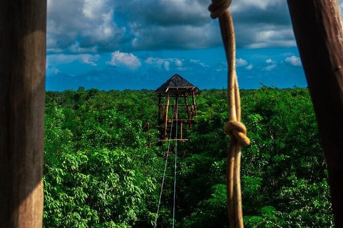 The Original Cozumel Zipline Adventure - The ladder climbs deserve serious attention