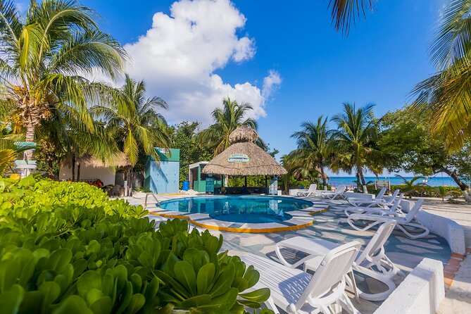 Tikinxic Barefoot Fish Guided Cookout Experience in Cozumel - Margaritas, flavored water, and beach time