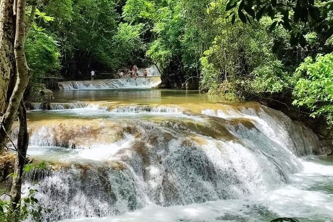 Tour to Copalitilla Magical Waterfalls from Huatulco with admission included - The coffee, cocoa, honey, and mezcal stop