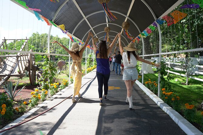 Tour to Lake Chapala, MAGIC TOWN of Ajijic from Guadalajara - Chapala’s boardwalk, piers, and market stalls