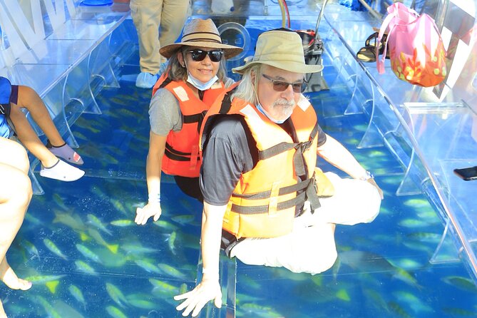 Tours in Cabo, Paseo al Arco and Fin de la Tierra in the only Clear Boat - Seeing tropical fish beneath the hull